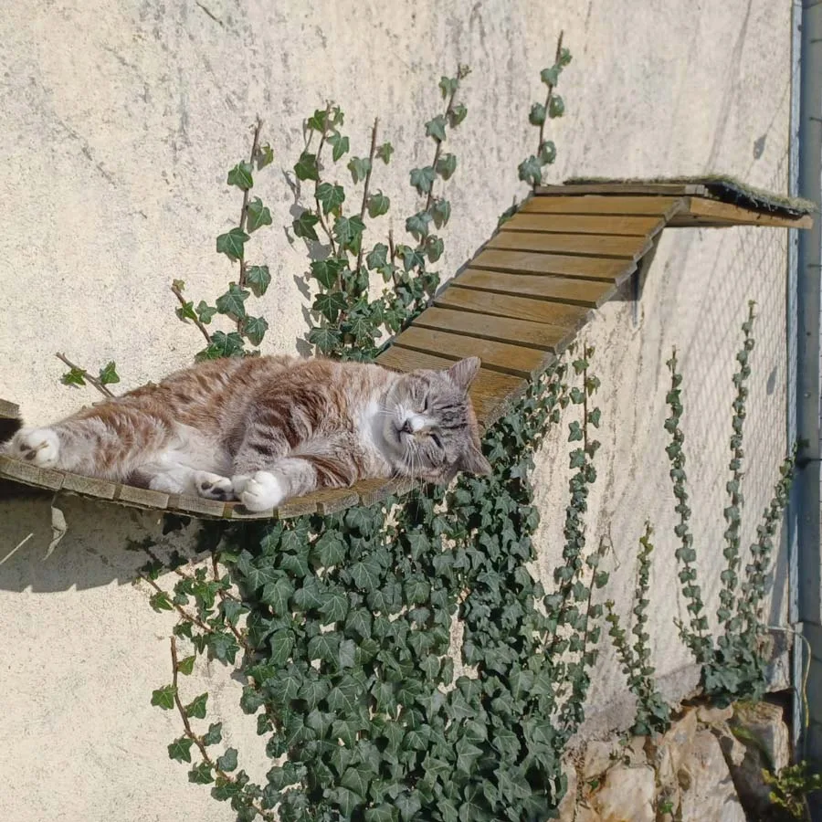 chat-8