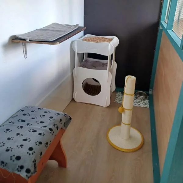 chatterie-4